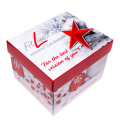 FitLine Advent Calendar - INFO BEACHTEN!!!